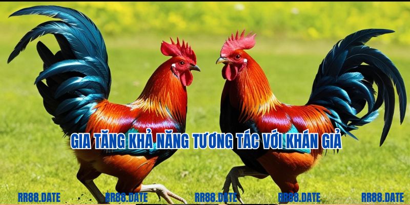 Gia tăng khả năng tương tác với khán giả 