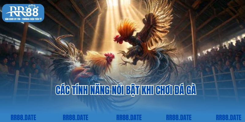 Các tính năng nổi bật khi chơi đá gà