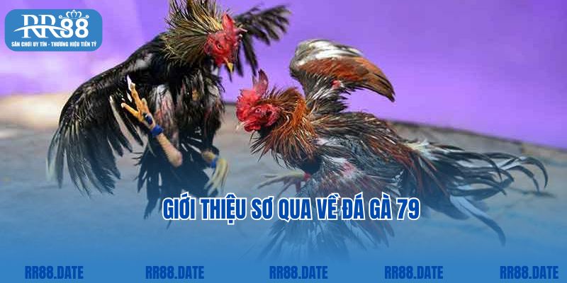 Giới thiệu sơ qua về đá gà 79